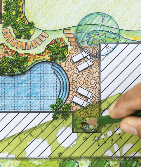 Drawing of backyard concept with swimming pool and modern landscaping