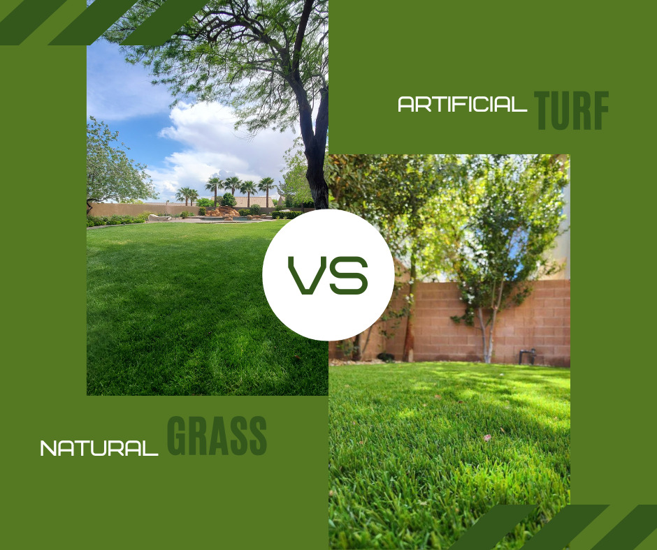 The Great Turf Debate: Grass vs. Artificial Turf - Mauri Landscapes